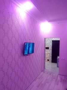 image 375668
