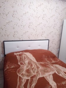 image 375668