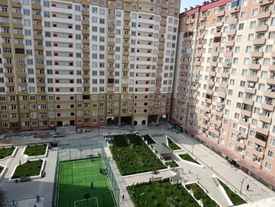 image 375669