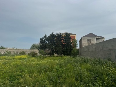 image 375672
