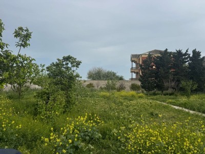 image 375672