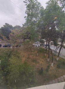 image 375673