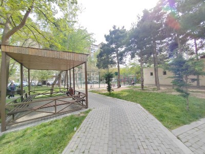image 375676
