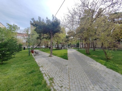 image 375676