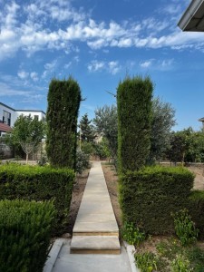image 375680