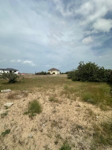 image 375683