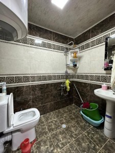 image 375685