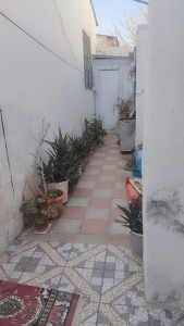 image 375689
