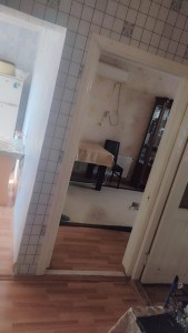 image 375689