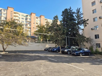 image 375692