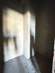 image 375695