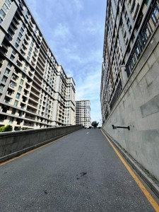 image 375696
