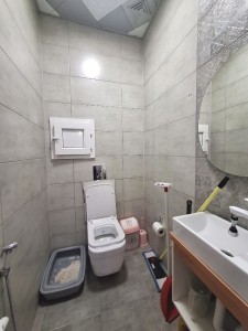 image 375697
