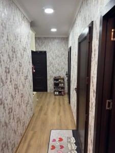 image 375711