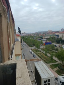 image 375712