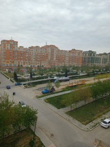 image 375712