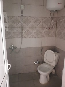 image 375712