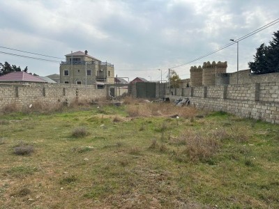image 375720