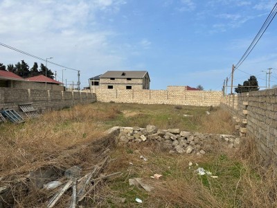 image 375720