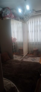 image 375726