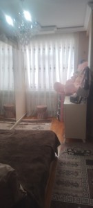 image 375726