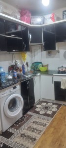 image 375726
