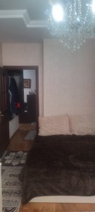 image 375726