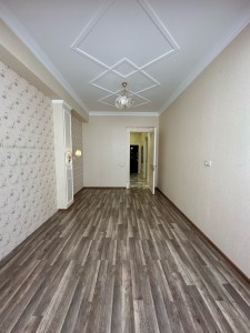 image 375729