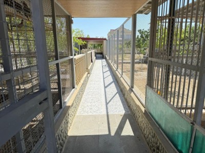 image 375756