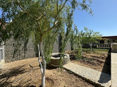 image 375756
