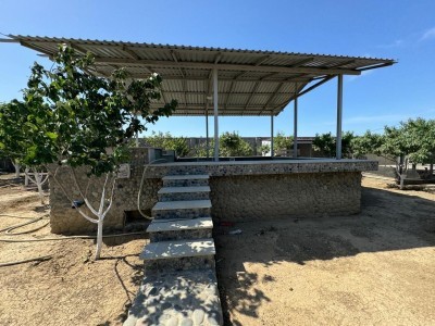 image 375756