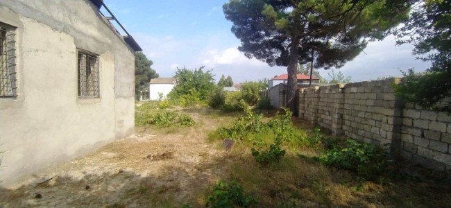 image 375761