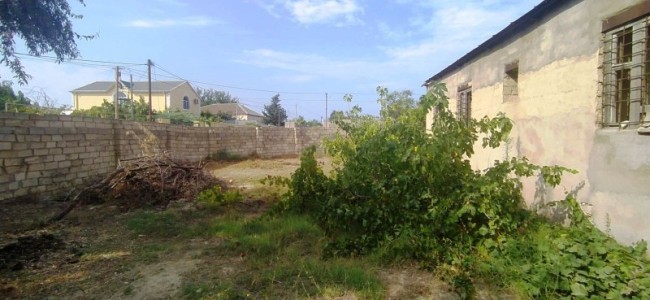 image 375761
