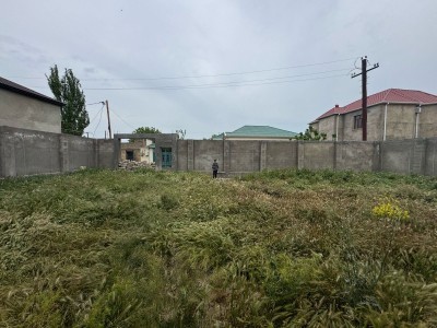 image 375774