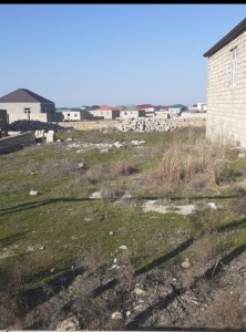 image 375780