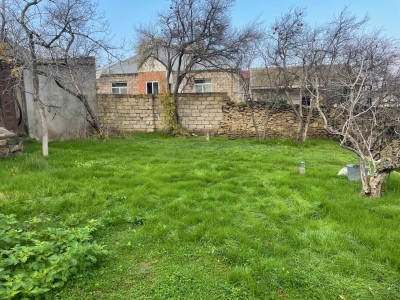 image 375787