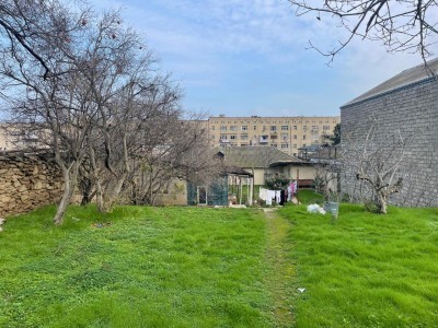 image 375787