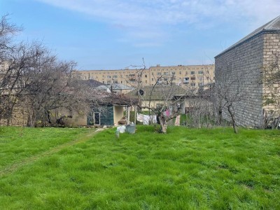 image 375787