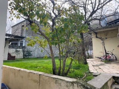 image 375787