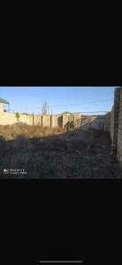 image 375790
