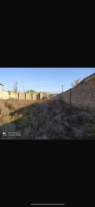 image 375790