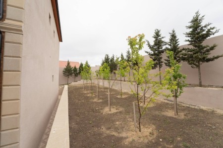 image 375795