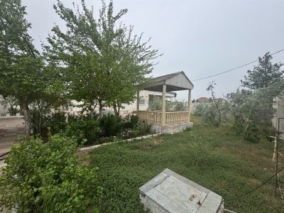 image 375801