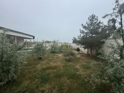 image 375801