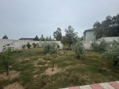 image 375801