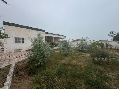 image 375801