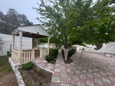 image 375801