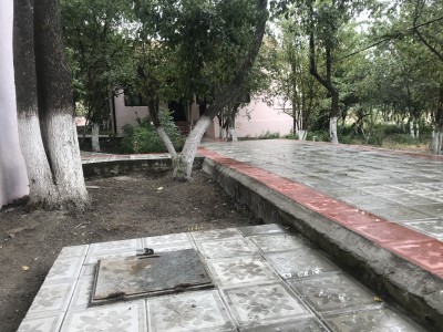 image 375825