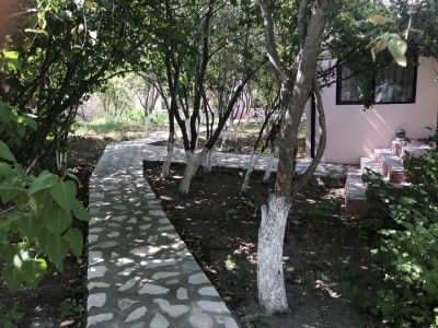 image 375825