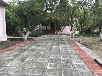 image 375825